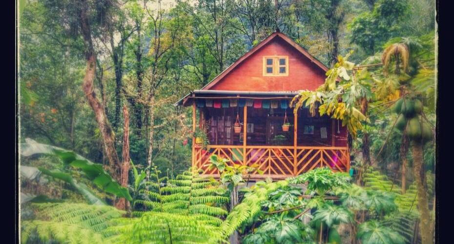 Mayal Lyang Homestay, Mangan 3